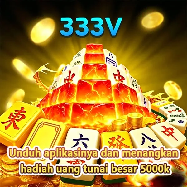 333V